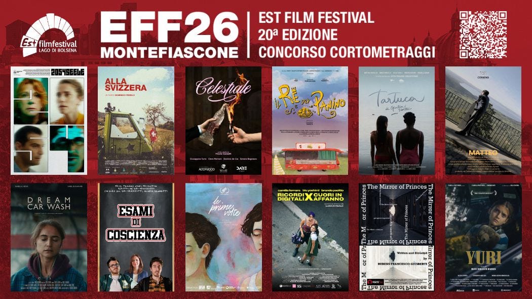 Nella prima riga i 5 film che si contendono il Premio AIDO e il film fuori concorso; nella seconda riga i 6 film che si contendono il Premio Scuole.