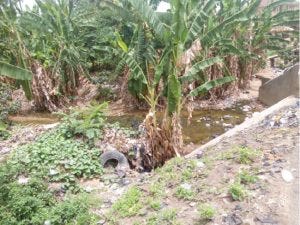 One toilet for one street: How open defecation pollutes rivers in Oyo community