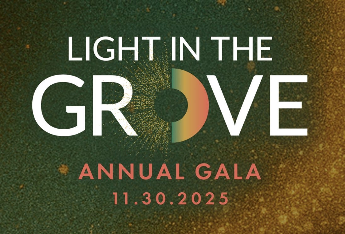 The image for the National AIDS Memorial’s Light in the Grove annual gala on November 30, 2025.
