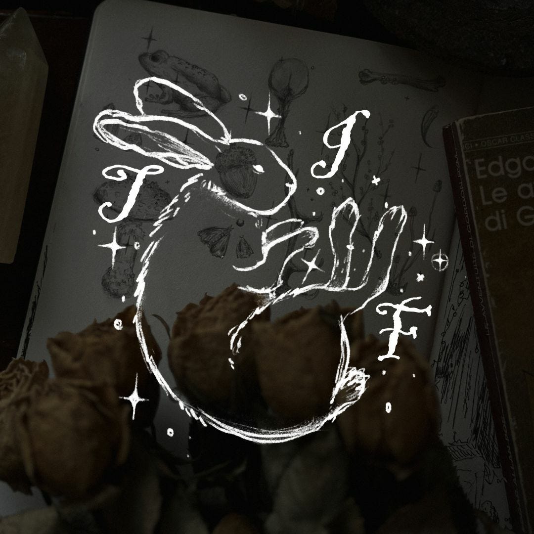 Marta ☾ Medieval Illustrator