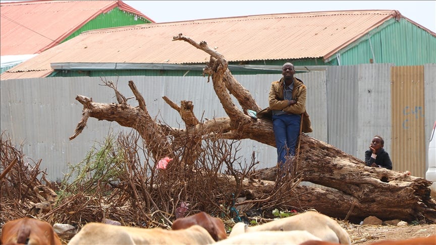 21 Arab, Islamic, African countries condemn, reject Israeli recognition of Somaliland 21 Arab, Islamic, African countries condemn, reject Israeli recognition of Somaliland