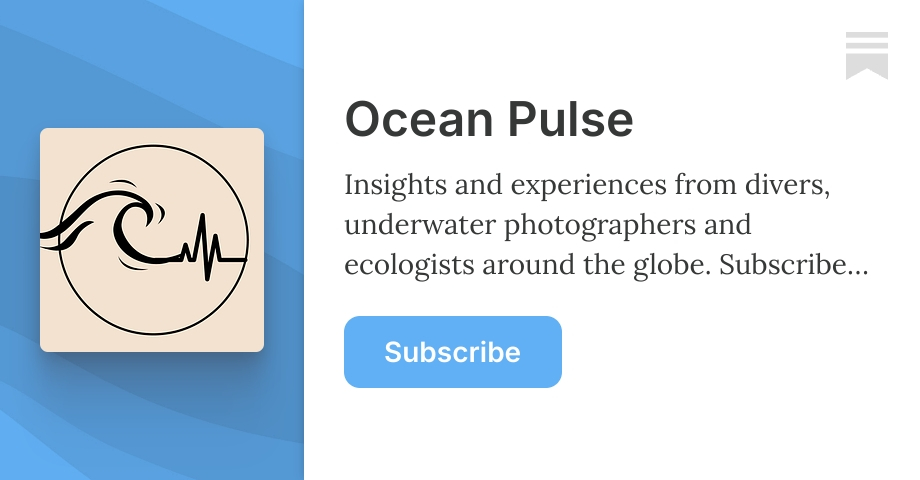 Ocean Pulse | Toju Raine | Substack