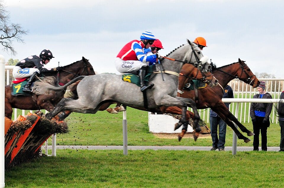 File:Horse racing (3309217425).jpg File:Horse racing (3309217425).jpg