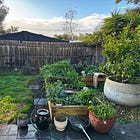 fifteen missed calls . a life interrupted