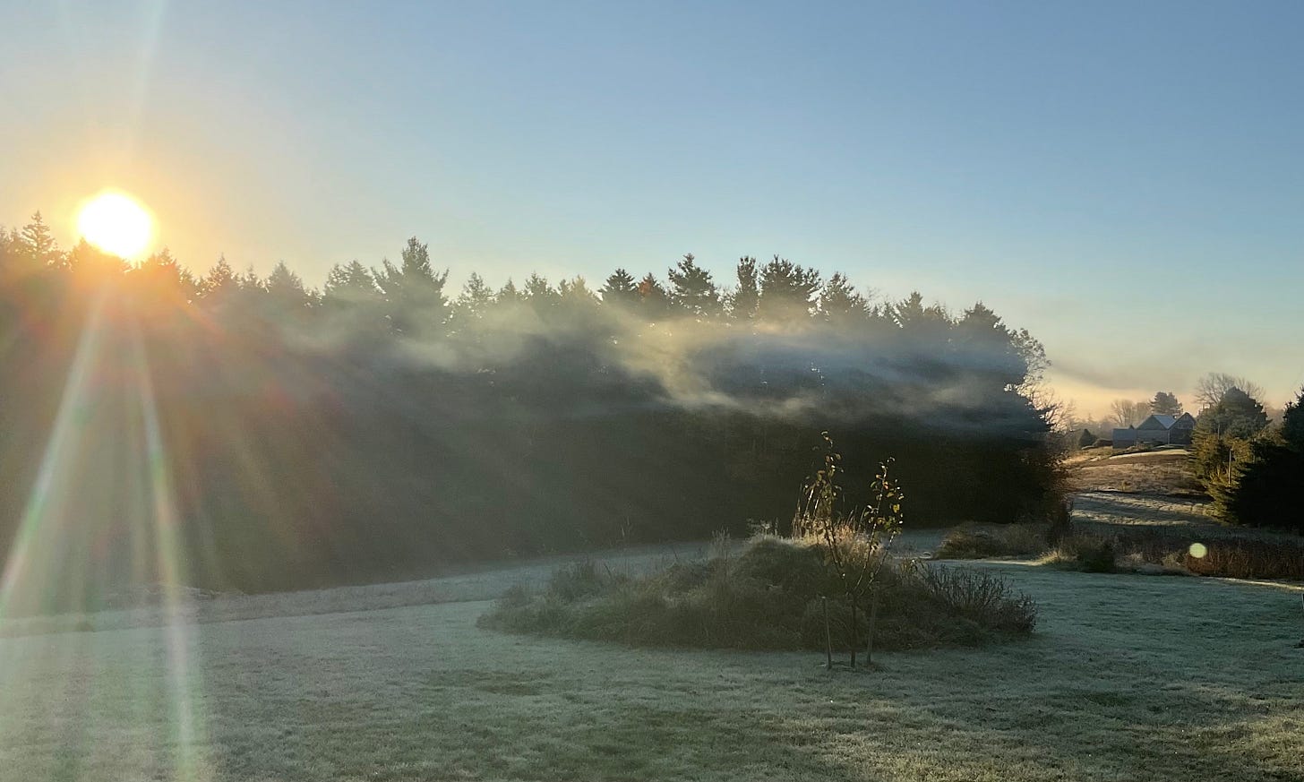 Frosty dawn here on the rural south shore of Nova Scotia