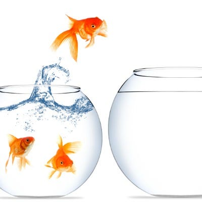 Graduate Finance Careers