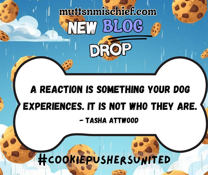 Cookie-themed blog promo with floating cookies,  Cookie-themed new blog drop graphic with rain, clouds, and a quote about love and healing by Tasha Attwood.rainy blue sky, and quote about dog reactions; NEW BLOG DROP, #cookiepushersunited.