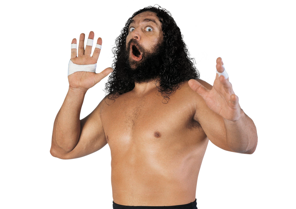Bruiser Brody | WWE