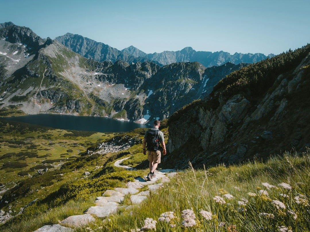 person walking towards mountain during daytime
