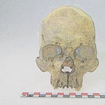 Anthropology.net