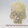 Anthropology.net