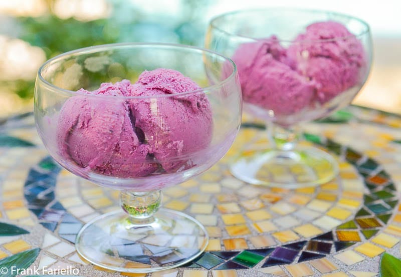 Gelato di mirtilli (Blueberry Gelato)