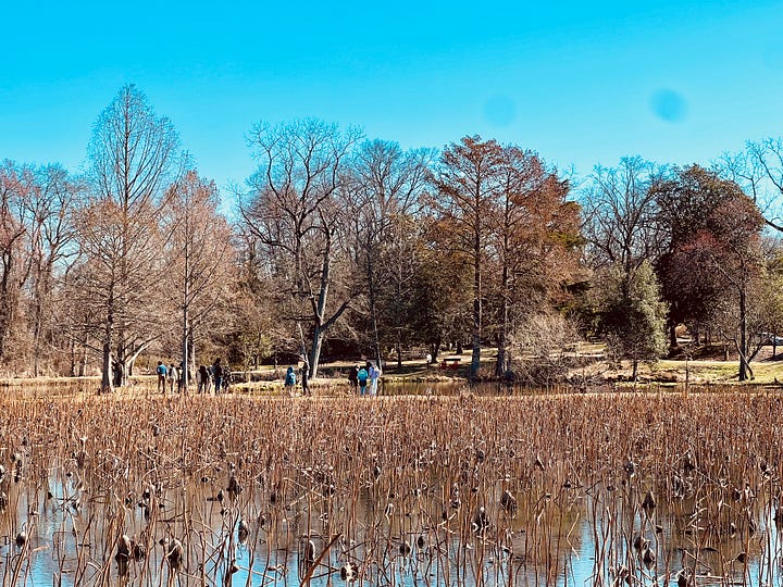 Urban Adventure Squad nature walk and habitat hike