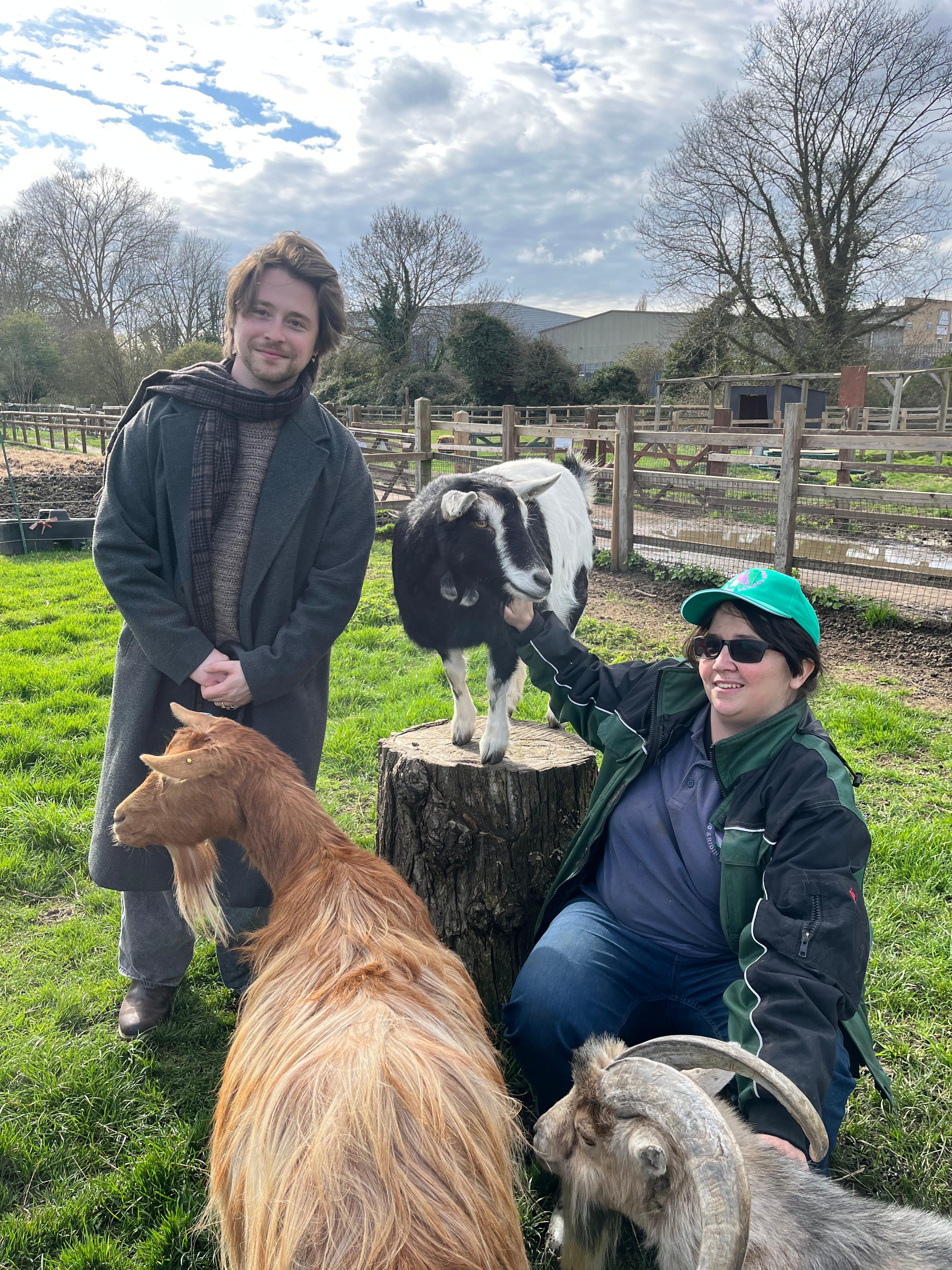 The city farm in the heart of Merton - by Zak Asgard
