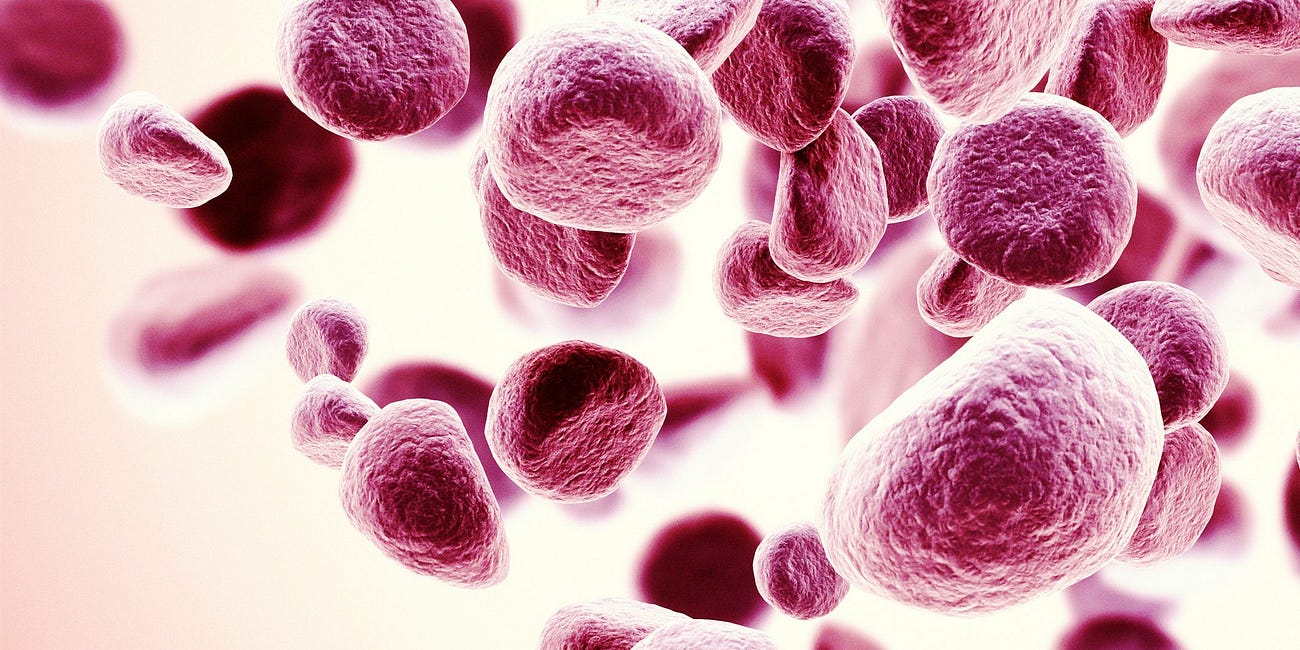 SUBSCRIBER SUCCESS STORIES: Quitting Chemo for Non-Small Cell Lung Cancer, Terminal Stage 4 Metastatic Adenocarcinoma Remission & Late Stage 3 Multiple Myeloma Remission