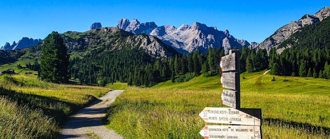 a sign pointing in different directions on a trail