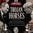Trojan Horses: Trump, Russia, Brexit - Democracy Under Siege