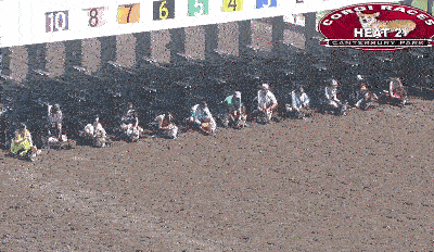 Corgi Race GIF | Gfycat