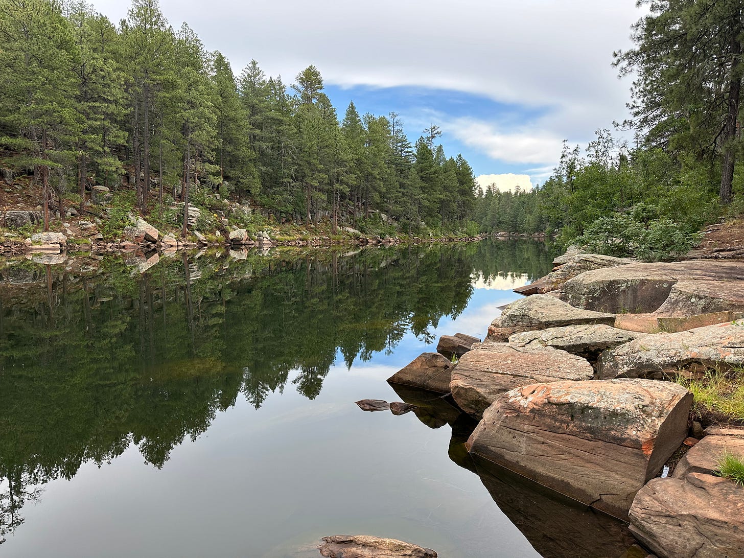 Forest lake surrounded by pines Forest lake surrounded by pines