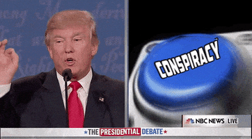 Donald Trump Conspiracy GIF by Election 2016 Donald Trump Conspiracy GIF by Election 2016