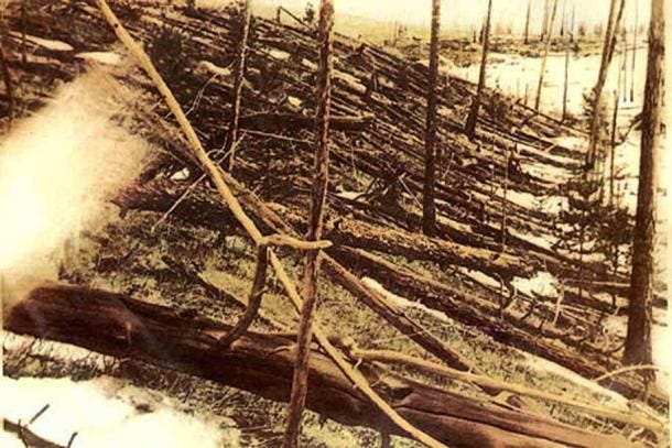 Trees knocked over by the Tunguska blast. Trees knocked over by the Tunguska blast.