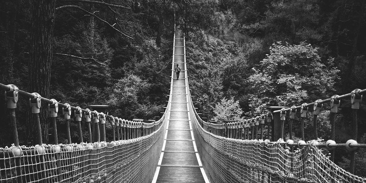 How popular is ecosocialist transformation?