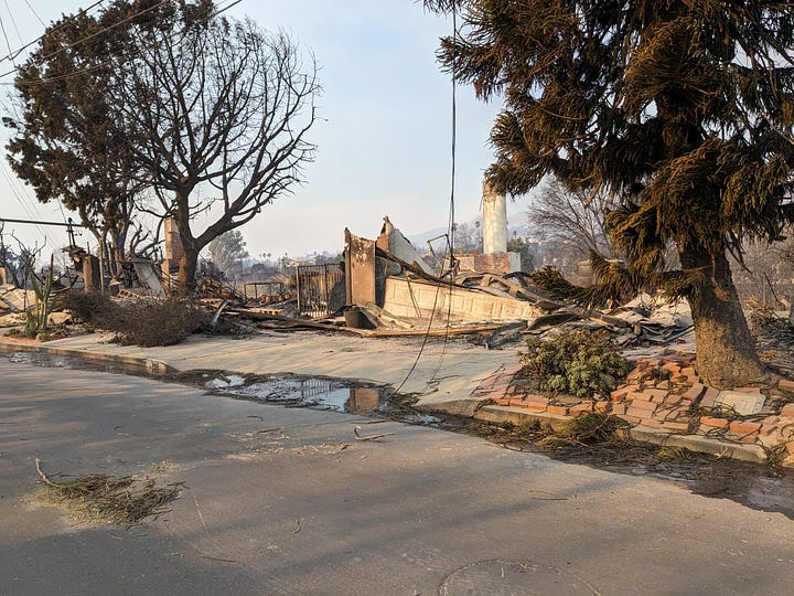 trees burned by houses