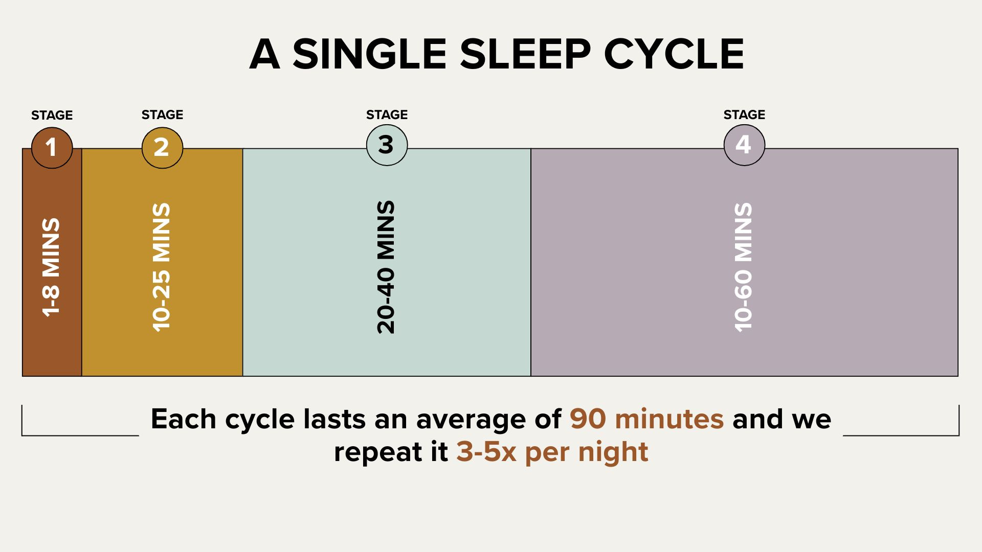 🛌🏻 Understanding Sleep Cycles - by Dani Bruflodt