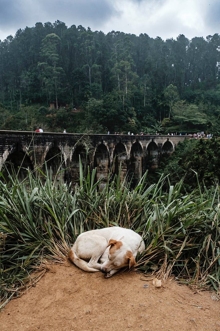 Images of Sri Lanka