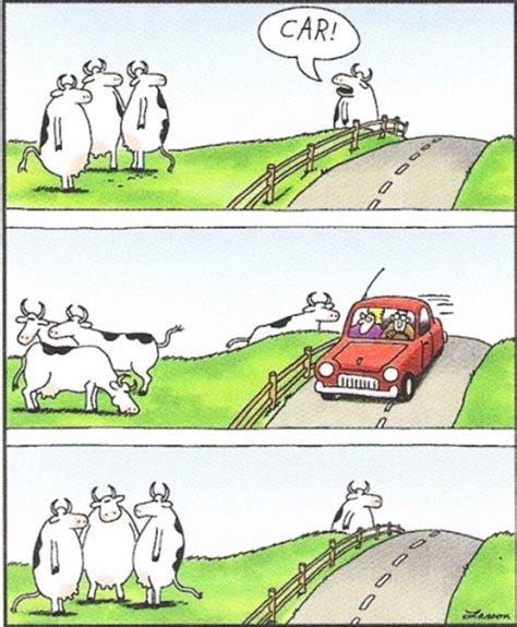 Gary Larson Far Side Cows