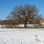 25. Bexley Charter Oak
