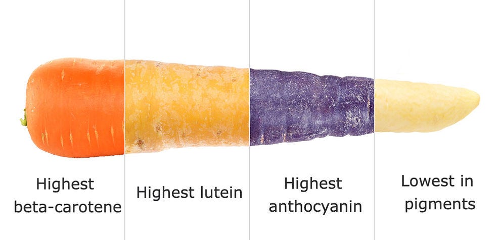 Different coloured carrots and their benefits