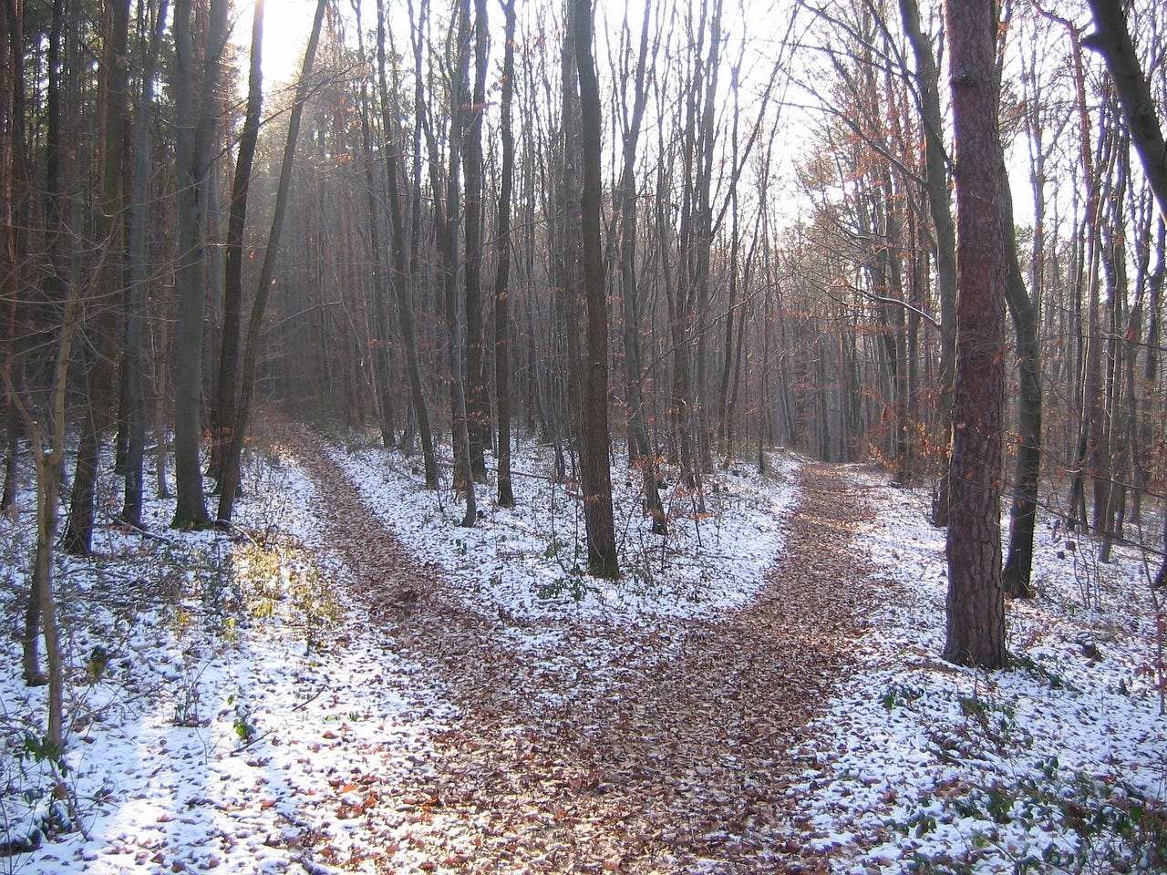 Forest path, Winter, Crossroads image Forest path, Winter, Crossroads image