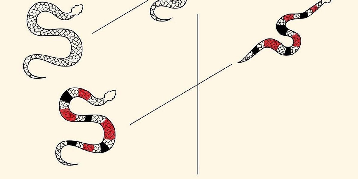 A Practitioner’s Information” JEL Github Repo is now up