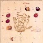 Slavic calendar 1/2