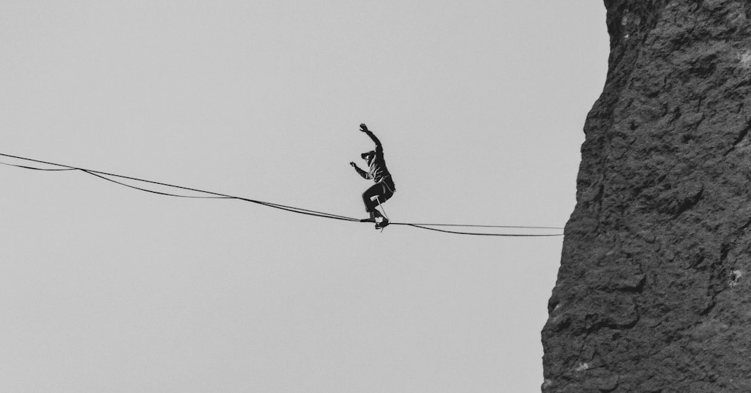 black bird on black wire during daytime