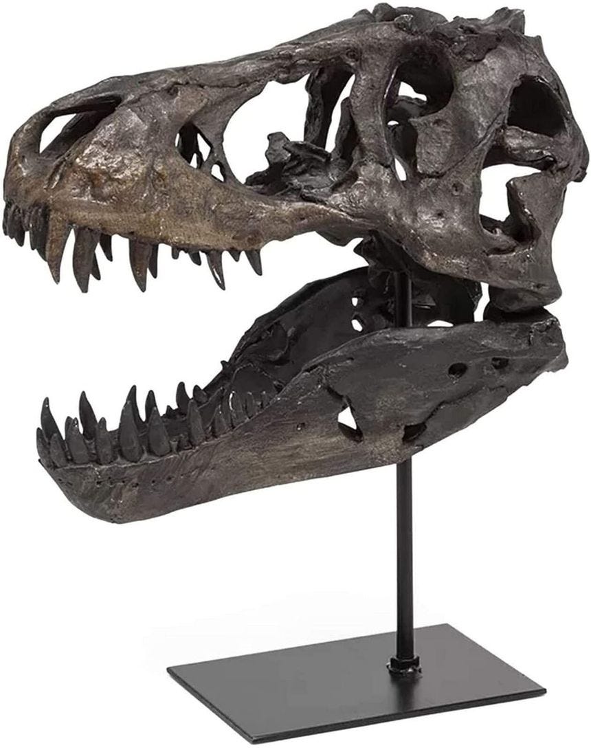 JOTNBOBO Dinosaur Skull Statue,Dinosaur Sculptures Bracket Tyrannosaurus Skull Replica Decoration Skull Bones Resin Replica w JOTNBOBO Dinosaur Skull Statue,Dinosaur Sculptures Bracket Tyrannosaurus Skull Replica Decoration Skull Bones Resin Replica w