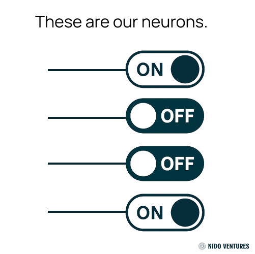 🧠 LLM Anatomy 101: How Large Language Models "Reason"