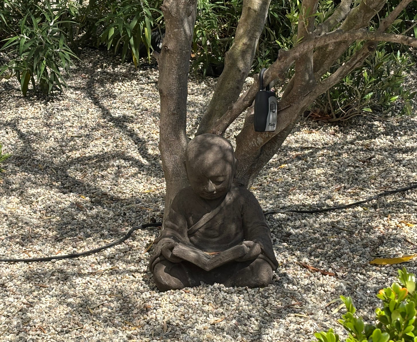 a small Buddha statue sits on a rock under the trees