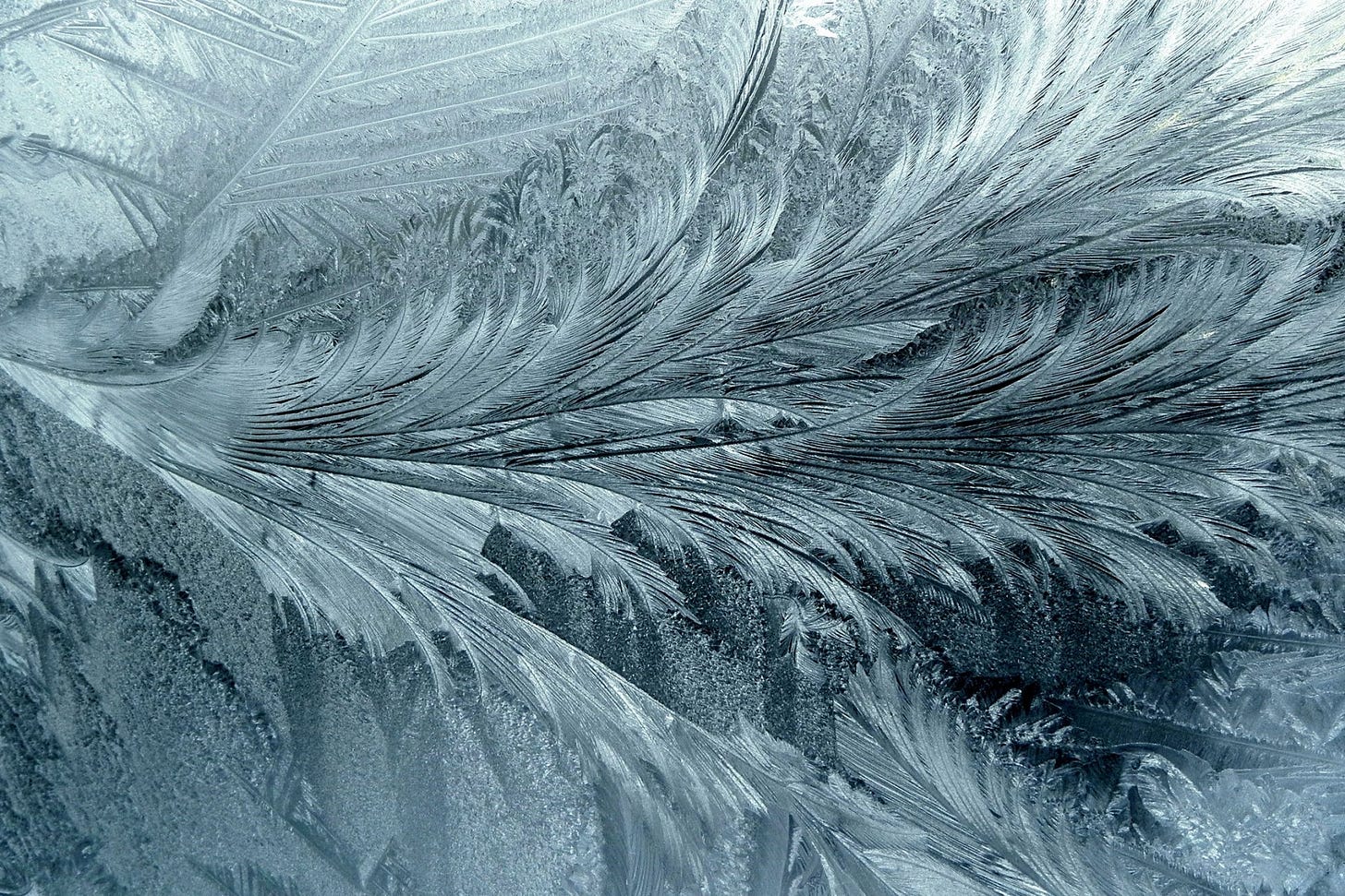 https://i2.wp.com/news.globallandscapesforum.org/wp-content/uploads/2020/03/fractals-ice.jpg?w=1800&ssl=1