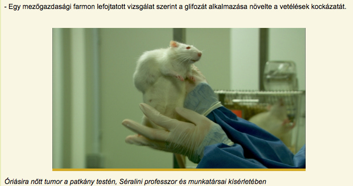 Tiszta viz(elet)et a pohárba!