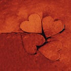 Valentine's weekend in Sebastopol and west county