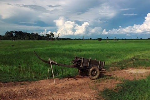 Simple but beautiful. Photo: Nicky Sullivan Simple but beautiful. Photo: Nicky Sullivan