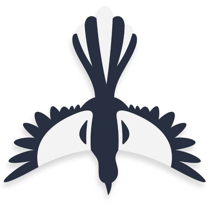 footnotes & feathers