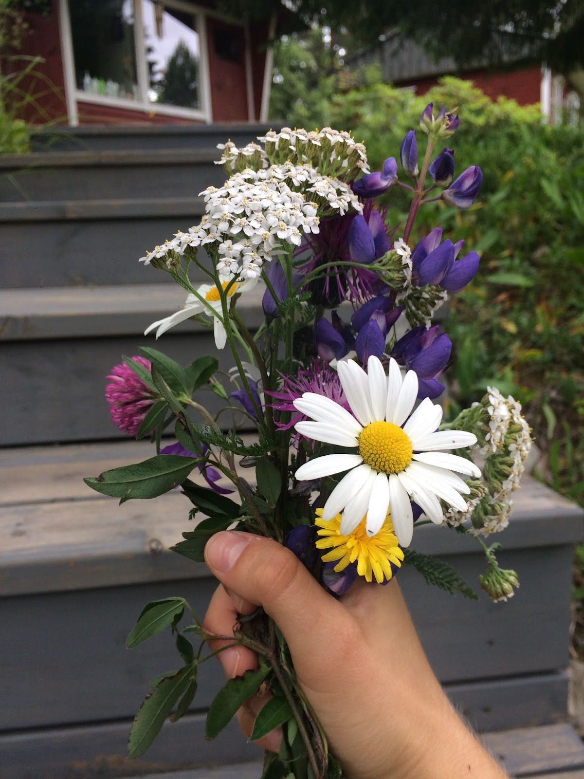 A hand holds a bouquet of wildflowers outdoors, near a deck