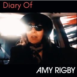 Diary Of Amy Rigby