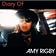 Diary Of Amy Rigby