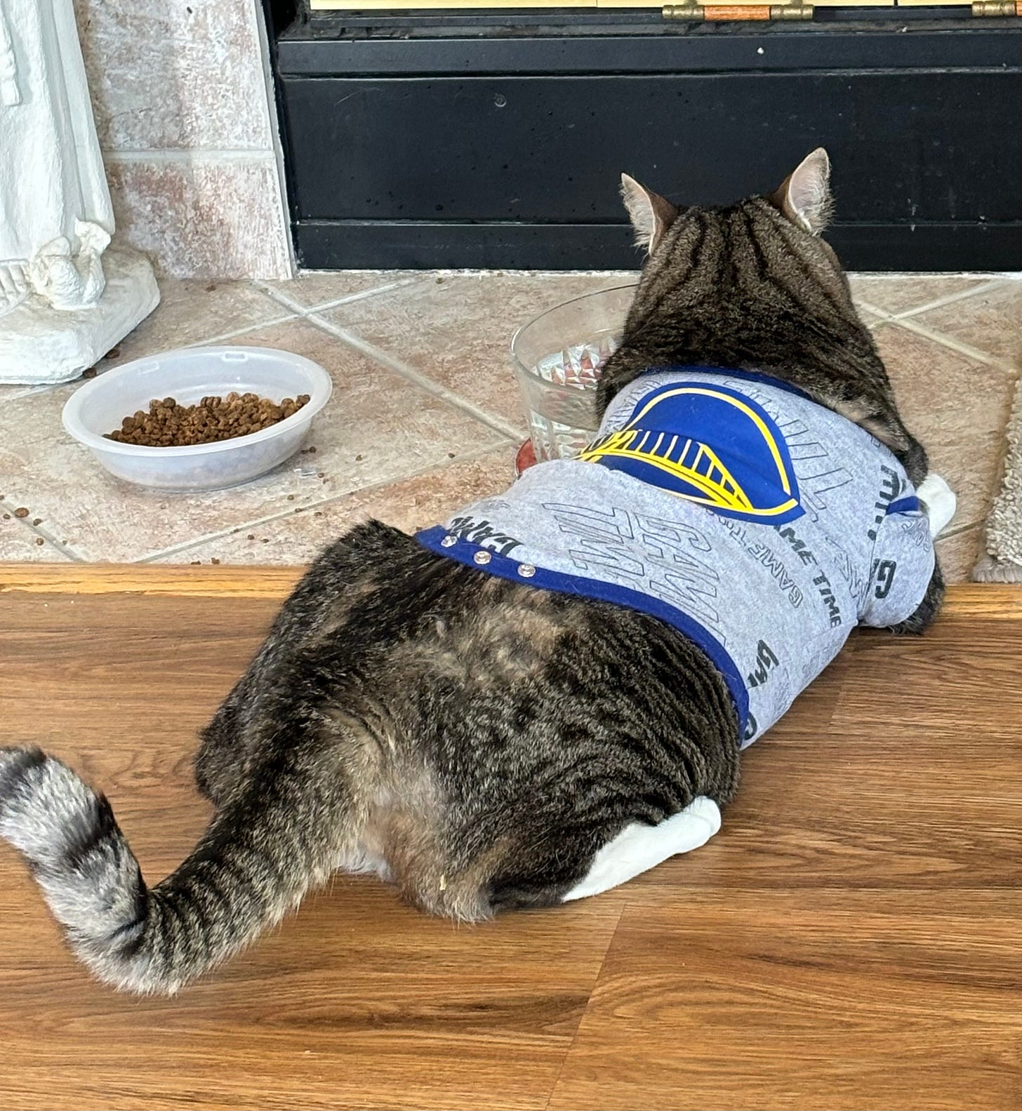 image5.jpeg image5.jpeg