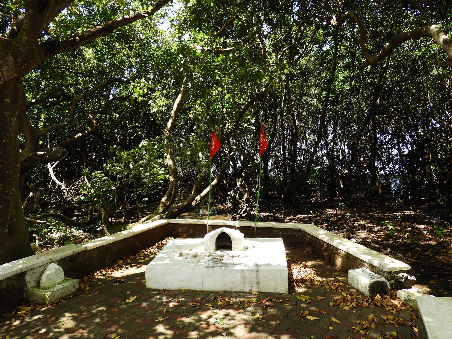 Photo: A religious structure observed inside a mangrove ecosystem near Anse Jonchée. Credit: Raphael Merven Photo: A religious structure observed inside a mangrove ecosystem near Anse Jonchée. Credit: Raphael Merven