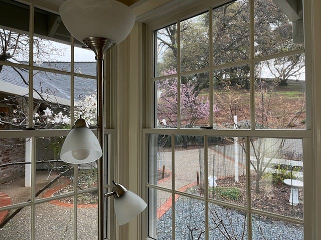 Spring blossoms out the windows, the fabric for the quilt, my sewing machine and the ranunculus in a vase.